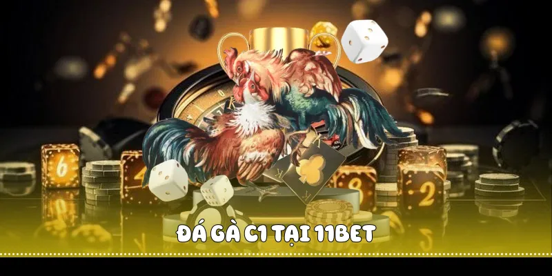 Đá gà C1 tại 11BET