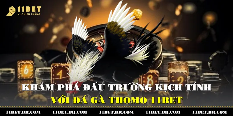 kham pha dau truong kich tinh voi da ga thomo 11bet 1